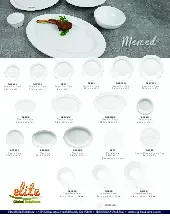 catalogpage-2505027c7a22.pdf