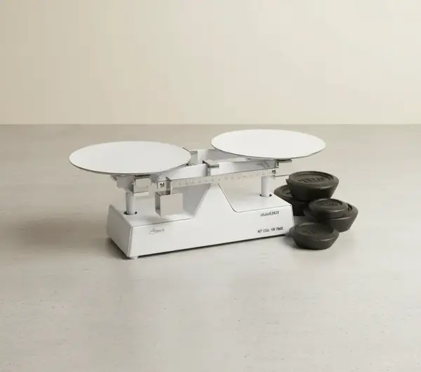 Alegacy Foodservice Products 53600