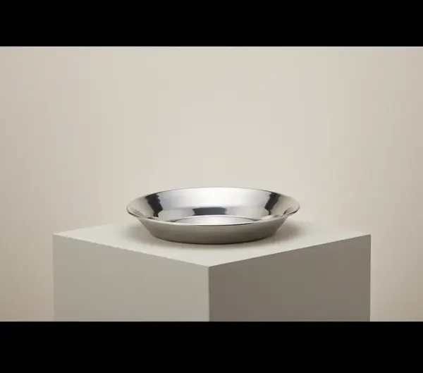 Alegacy Foodservice Products 561DC