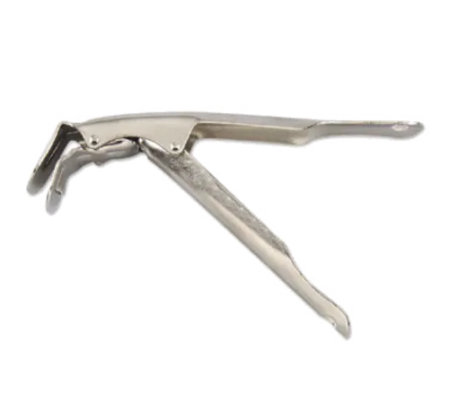 Alegacy Foodservice Products PG1