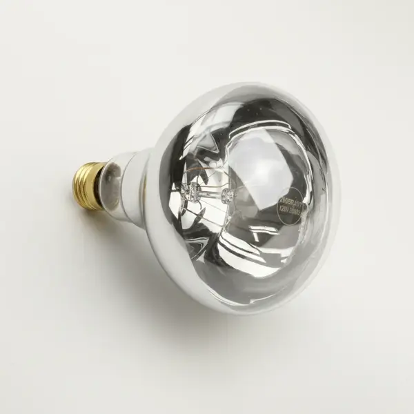 AllPoints Foodservice Parts & Supplies 381035