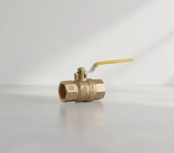 Dormont Manufacturing 100FV