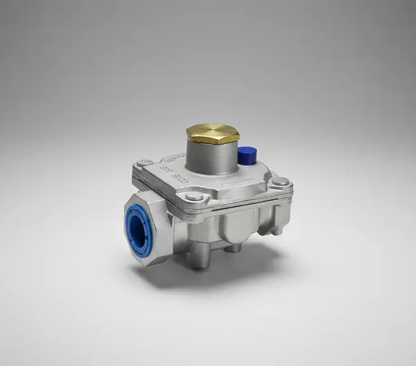 Dormont Manufacturing RV48CL-32