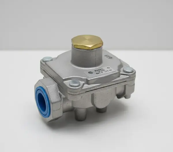 Dormont Manufacturing RV48CL-42