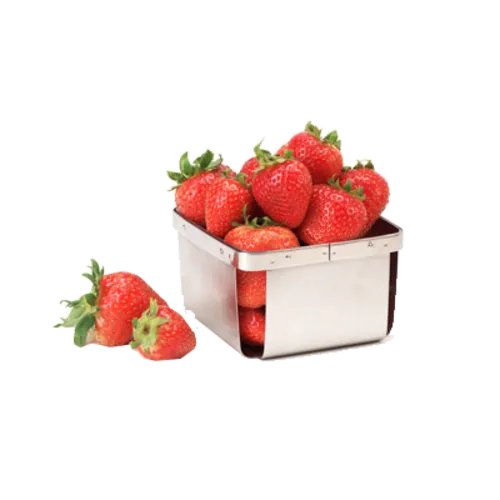 G.E.T. Enterprises 4-80828