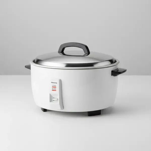 Panasonic SR-GA421FH