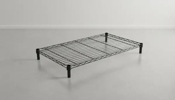 Quantum Food Service 2442BK