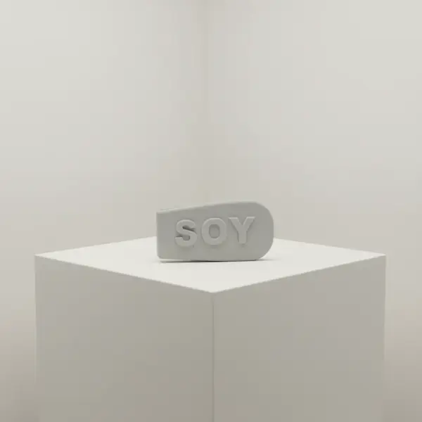 Service Ideas 10-00209-004