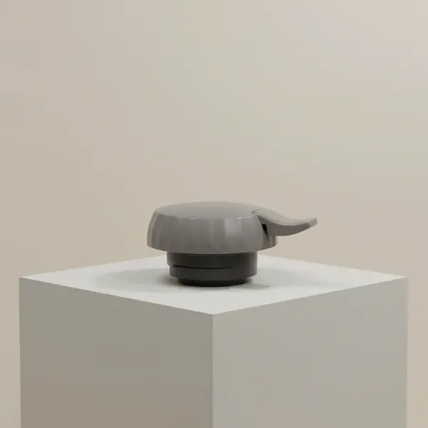 Service Ideas ECLSLG