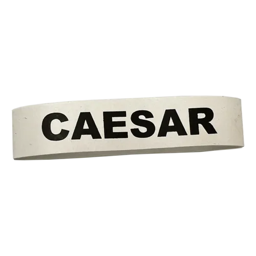 Service Ideas FBCAESARWB