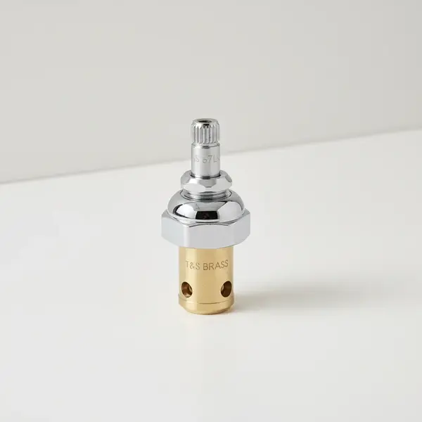 T&S Brass 005959-40