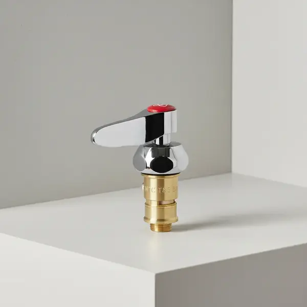 T&S Brass 012446-25NS