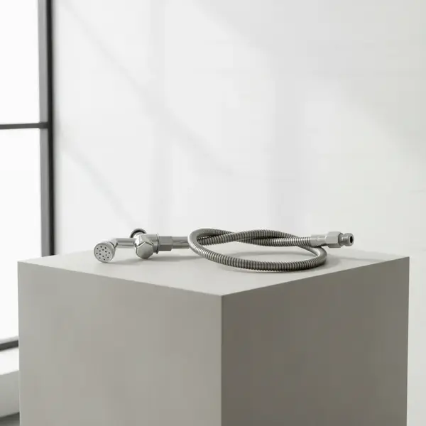 T&S Brass B-0101-60H