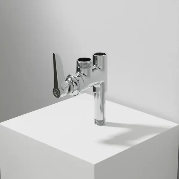 T&S Brass B-0155-CR-LN