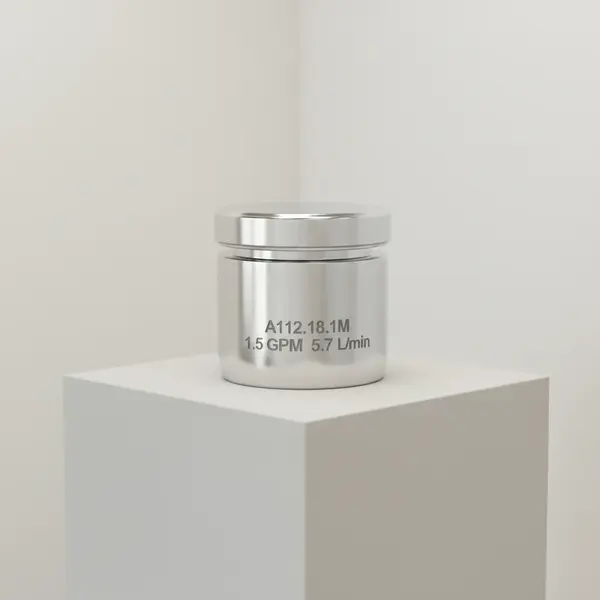 T&S Brass B-0199-05-WS