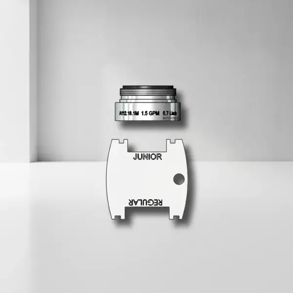 T&S Brass B-0199-09-WS