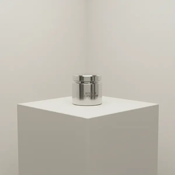 T&S Brass B-0199-10-WS