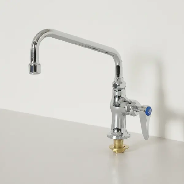 T&S Brass B-0205-060X-CR