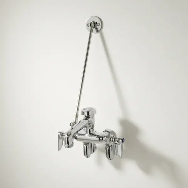 T&S Brass B-0667-POL