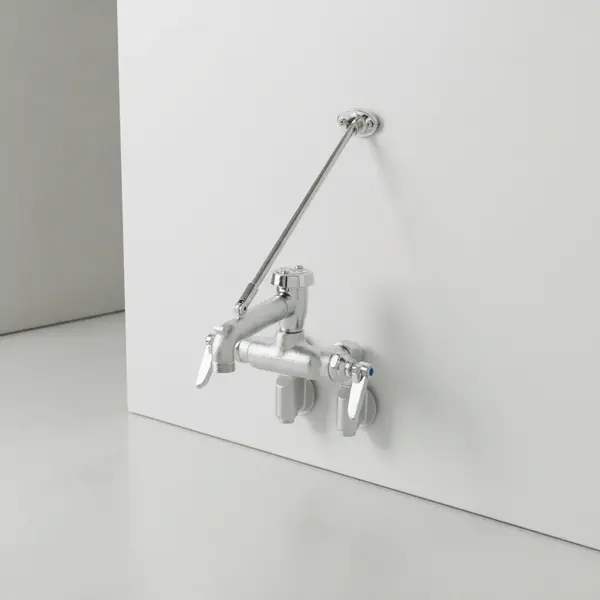 T&S Brass B-0667-RGH