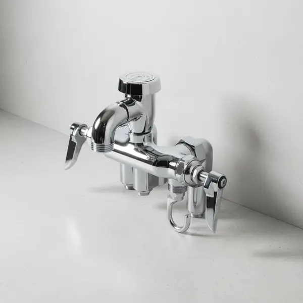 T&S Brass B-0669-POL