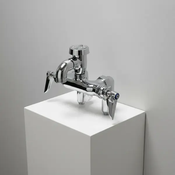 T&S Brass B-0670-POL