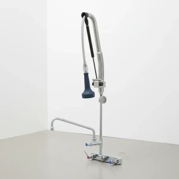 T&S Brass B-5125-12-CRB8P