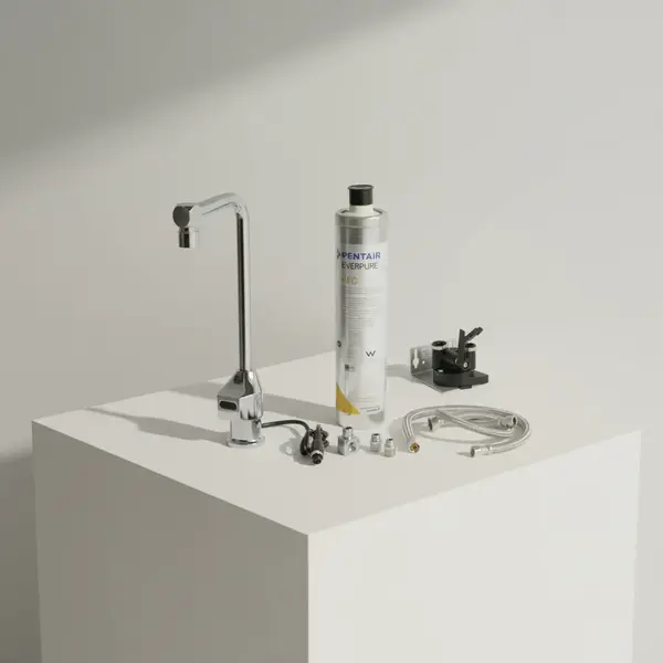 T&S Brass EC-1210-10-WFK