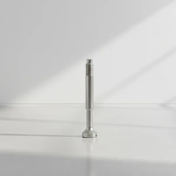 T&S Brass S009306-20