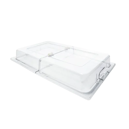 Thunder Group PLRCF001H