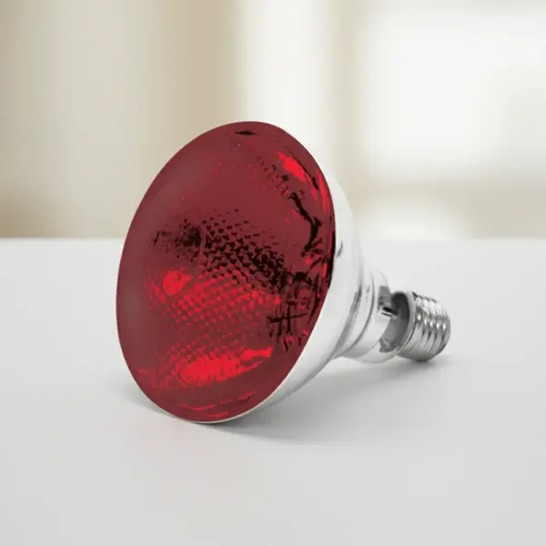 Thunder Group SEJ90001R Heat Lamp Bulb