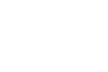 Vertex China OR-15