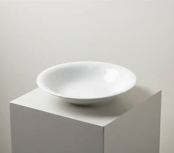 Vertex China PA-10