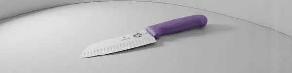 Victorinox Swiss Army 5.2525.17