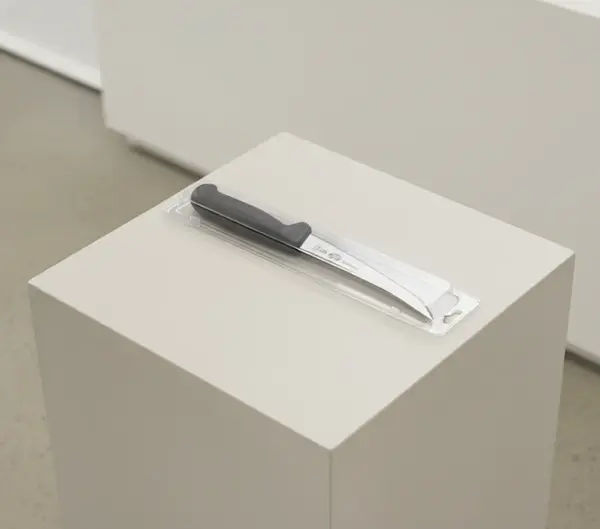 Victorinox Swiss Army 5.6603.15-X3