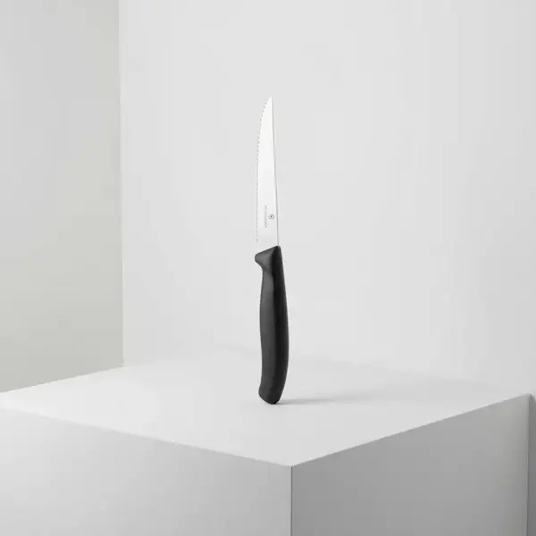 Victorinox Swiss Army 6.7233