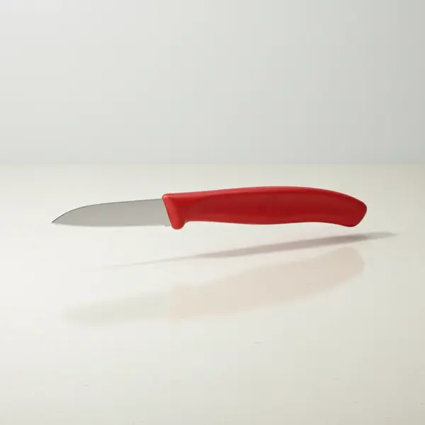 Victorinox Swiss Army 6.7301