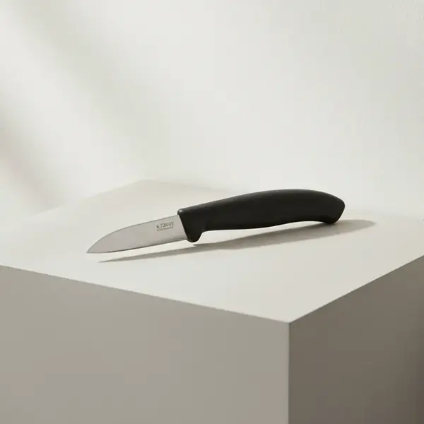 Victorinox Swiss Army 6.7303