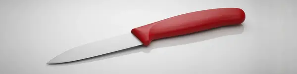 Victorinox Swiss Army 6.7401