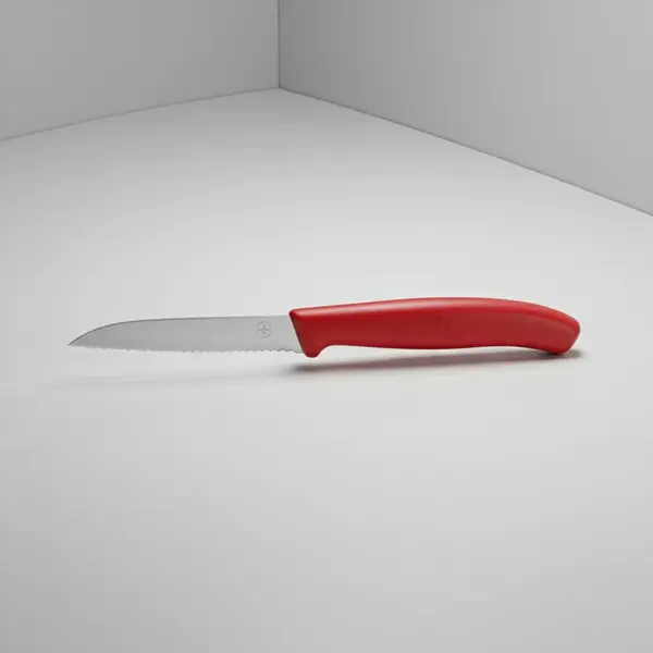 Victorinox Swiss Army 6.7431.C1
