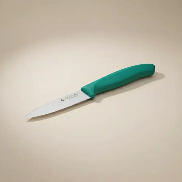 Victorinox Swiss Army 6.7604.C1