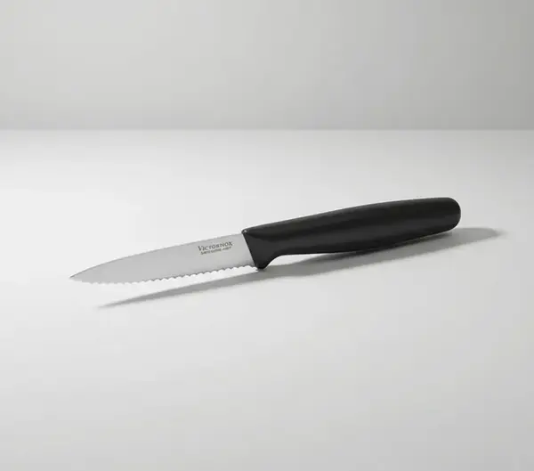 Victorinox Swiss Army 6.7633