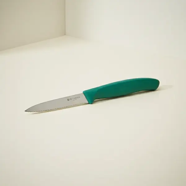 Victorinox Swiss Army 6.7634.C1