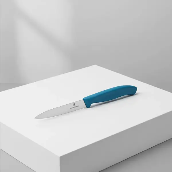 Victorinox Swiss Army 6.7702.C1
