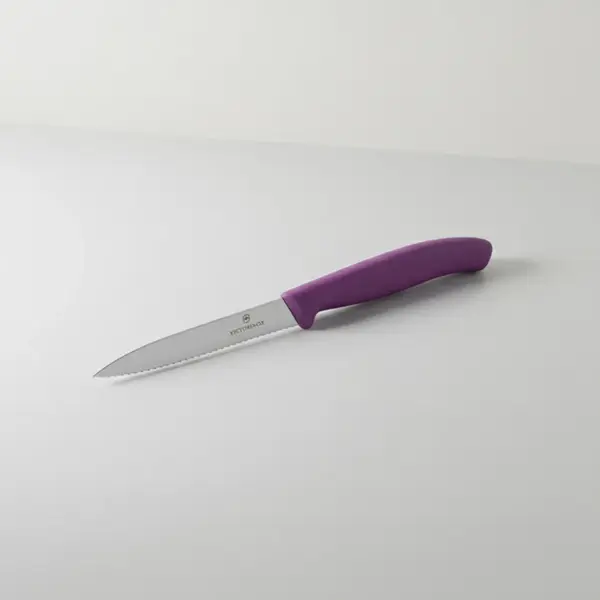 Victorinox Swiss Army 6.7735.C1