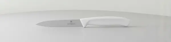 Victorinox Swiss Army 6.7737