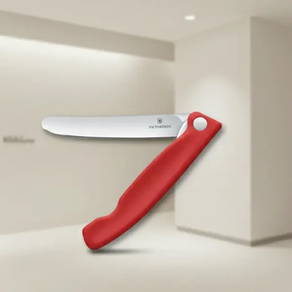 Victorinox Swiss Army 6.7801.FC1