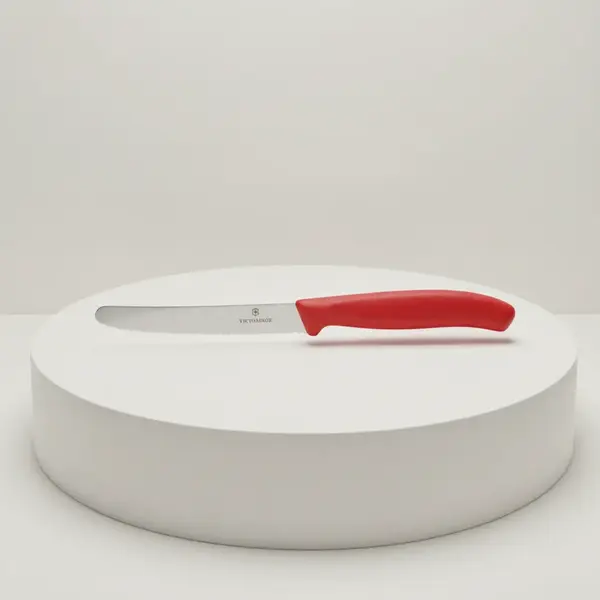 Victorinox Swiss Army 6.7831.C1