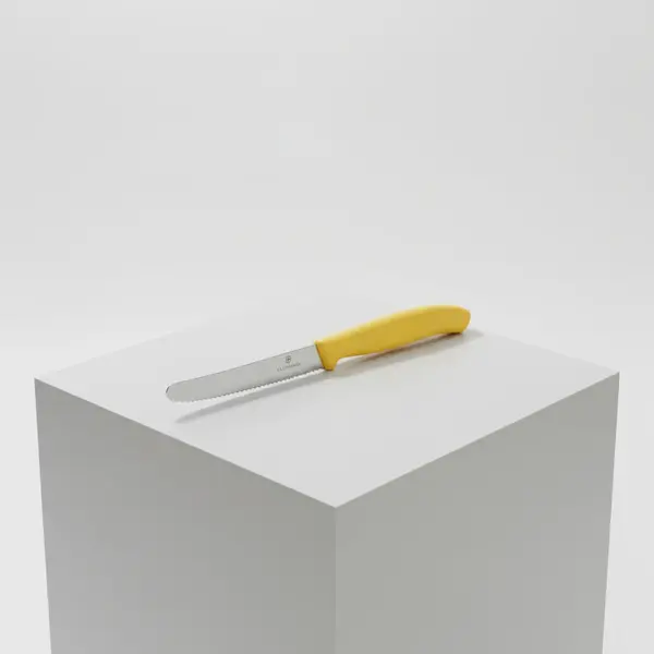 Victorinox Swiss Army 6.7838.C1