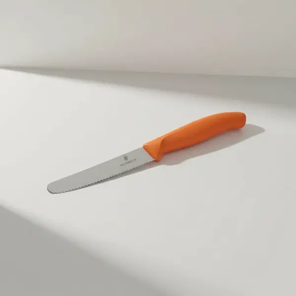 Victorinox Swiss Army 6.7839.C1